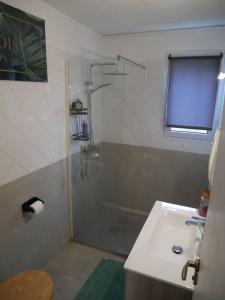 a bathroom with a shower and a sink at Chez Steph chaleureux & cosy T3 in Fort-de-France