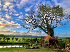 a tree with a playground next to a tree at DuGiang Homestay in Buon Ma Thuot