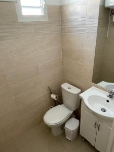 een badkamer met een toilet en een wastafel bij Duplex centre-ville in Le Moule