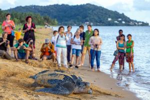 un grupo de personas en la playa con una tortuga en la playa en Le petit marin des salines à 0 metre de la plage, en Montjoly