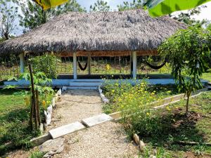 Taman di luar Olamar Hostal