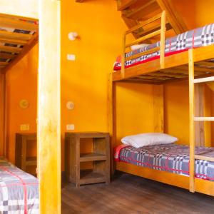 2 Etagenbetten in einem Zimmer mit gelben Wänden in der Unterkunft Hostal Café Tiana in Latacunga