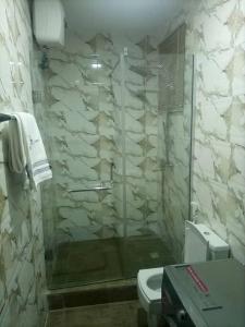 a bathroom with a shower and a toilet at Tiyani Court in Lagos