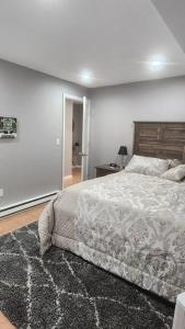 a bedroom with a bed and a rug at Cozy King Bed, Free Parking! in Newark