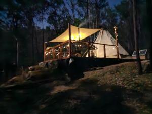 PuttyCosy Teepee to reconnect with Nature!的夜晚在树林里搭帐篷
