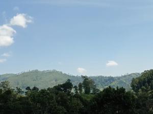 auliculiculiculiculiculiculiculiculiculiculiculiculiculiculic at The Rock Face in Ella