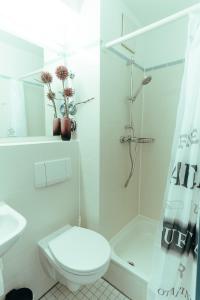 a white bathroom with a toilet and a shower at Apartment modern und gemütlich ggü. Uni-Passau, TG-Stellplatz, Balkon in Passau
