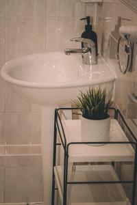 a bathroom with a sink and a chair and a plant at Spacious 2 bedroom apartment in Central Oxford in Oxford