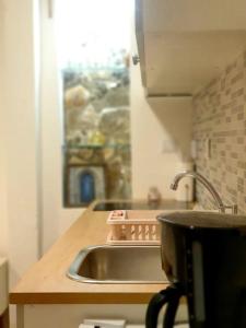um lavatório de cozinha com um vaso no balcão em Studio apartman Barbeta em Grebaštica