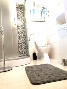 uma casa de banho com um chuveiro e um tapete preto em Studio apartman Barbeta em Grebaštica