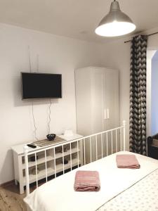 um quarto com uma cama e uma televisão na parede em Studio apartman Barbeta em Grebaštica