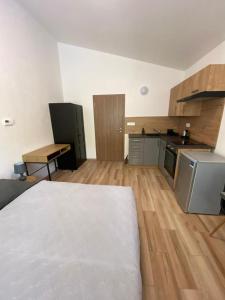 Kuchyň nebo kuchyňský kout v ubytování Černá Růže - Apartmán 7