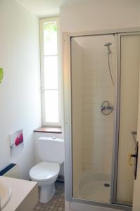 a bathroom with a white toilet and a shower at Auberge La Croix Blanche in Combreux