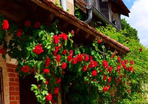 a bunch of red flowers on the side of a building at Auberge La Croix Blanche in Combreux