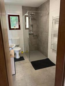a bathroom with a shower and a toilet and a sink at Gastehaus Dollenz in Tiebitsch
