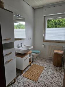 een badkamer met een wastafel en een toilet bij Große Ferienwohnung am Waldrand in Schönau