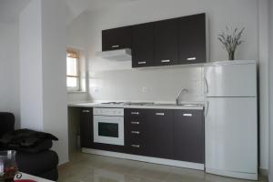 Kuchyň nebo kuchyňský kout v ubytování Apartments Toni, Borik