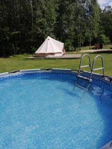 Πισίνα στο ή κοντά στο Domek w drzewach w Siedlisku Polanka
