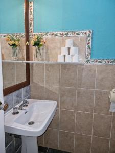 y baño con lavabo y espejo. en Corias Casona junto al Narcea en Corias