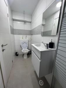 a small bathroom with a toilet and a sink at Sea of Galilee place in Tiberias