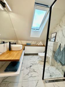 a bathroom with a skylight and a toilet at Molinaro Apartmány Jeseníky in Karlovice