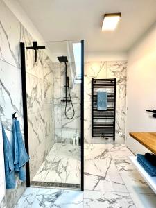 a bathroom with a shower with marble walls at Molinaro Apartmány Jeseníky in Karlovice