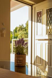 a potted plant sitting on a table in front of a door at Sun And Stone in Athani