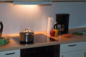 - un comptoir de cuisine avec cuisinière et pot dans l'établissement Ferienwohnung am Sandbarg, à Jesteburg