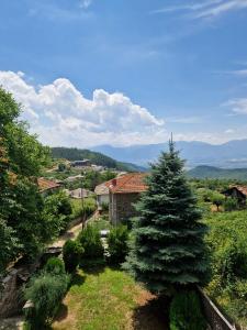 レシテンにあるLeshten Valentin's Houseの家庭松 +16枚の写真