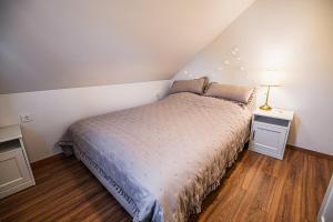 een slaapkamer met een bed en een lamp op een nachtkastje bij Apartments Zora with Terrace near Terme Paradiso in Dobova