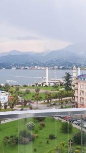Blick auf eine Stadt mit Park und Brücke in der Unterkunft Modern apartment in Batumi