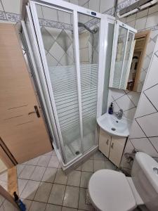 La salle de bains est pourvue d'une douche, de toilettes et d'un lavabo. dans l'établissement ALBi Apartment - New Port - Corfu Old Town, à Corfou