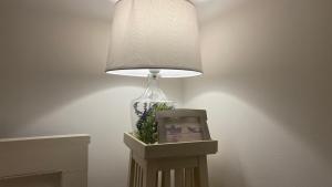 a lamp with a vase with a plant in it at Apartments Ivas in Zambratija