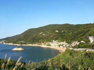 a view of a beach with houses on a hill at 大新民宿Da Xin Homestay in Beigan