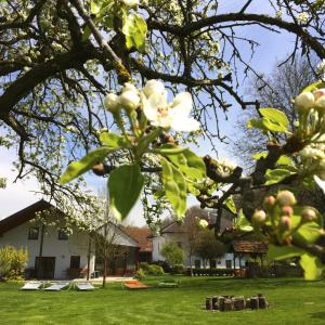 Aed väljaspool majutusasutust Sonnenblumenhof