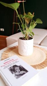 a potted plant sitting on a table next to a magazine at Kaluri 24 in Haapsalu