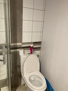 a bathroom with a toilet with the lid up at La « cabaneste » dans Arreau in Arreau +43 photos