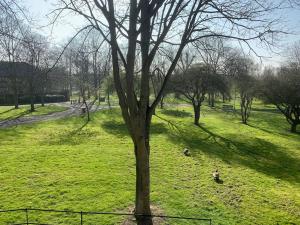 a tree in a field with some animals in it at Snug & Cosy Home In Thamesmead Overlooking A Park in Thamesmead