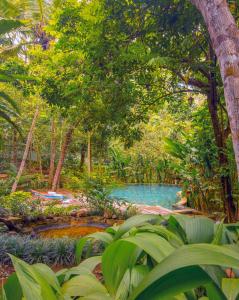 a swimming pool in the middle of a forest at Wild Nest Villa Unawatuna in Unawatuna