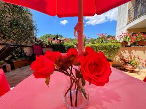 a vase filled with red roses on a pink table at Spoleto trendy - Central apartment surrounded by shops in Spoleto