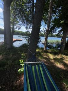 a hammock tied to a tree next to a lake at Przystanek Krag - kazdy domek ma prywatna balie! Do tego wlasna prywatna plaza, pomost, lodka, kajaki, strefa ciszy, darmowy parking, grille , miejsce na ognisko in Krąg +35 photos