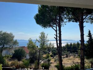 a view from a house with trees in the foreground at Krinides Place in Nerotriviá