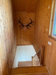 an inside view of a sauna with a spider on the wall at KRI Holiday House in Alūksne