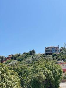 a house on top of a hill with trees at Villa Marisia in Chios