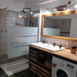 a bathroom with a sink and a washing machine at Les chambres du vieux quartier in Thouars