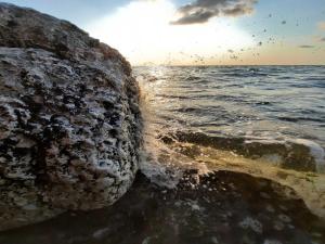 a rock in the water next to the ocean at Ferienunterkünfte an der Düne DH-42986 in Lubmin