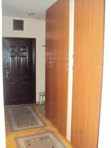 een kamer met een kast en een deur met een tapijt bij Apartman Milja in Belgrado