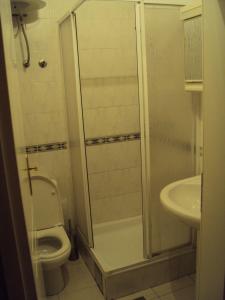 een badkamer met een toilet, een douche en een wastafel bij Apartman Milja in Belgrado