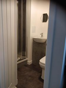 La salle de bains est pourvue de toilettes et d'un lavabo. dans l'établissement The Arches - The Big Yin, à Stirling