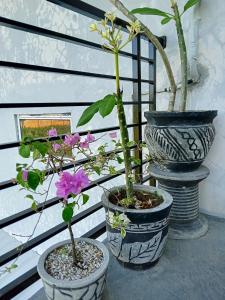 Fotografie z fotogalerie ubytování RINA Guest House Pacitan v destinaci Tamperan